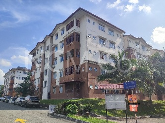 Apartment, Medium Cost