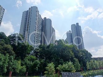 Condominium