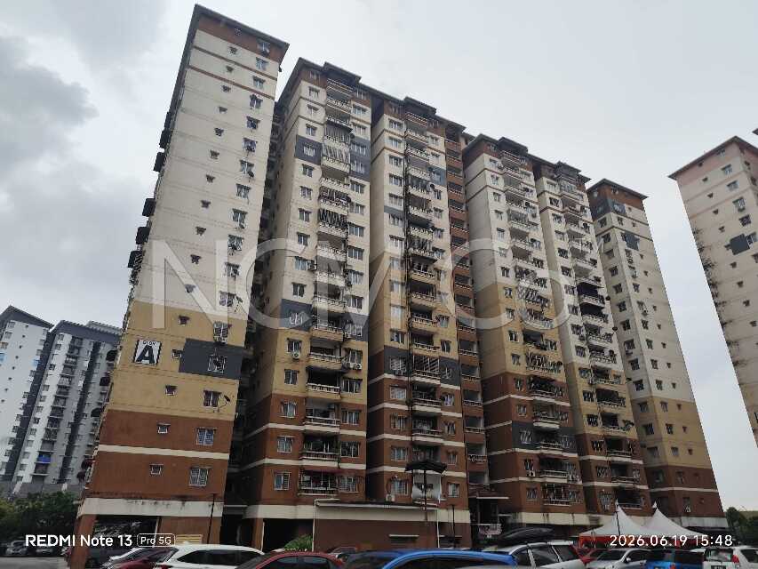 Apartment, Medium Cost