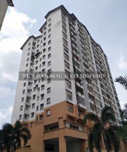 Apartment, Medium Cost