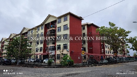 Freehold Apartment