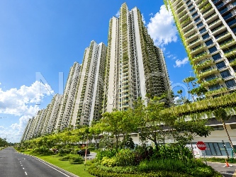 Service Apartment, Intermediate