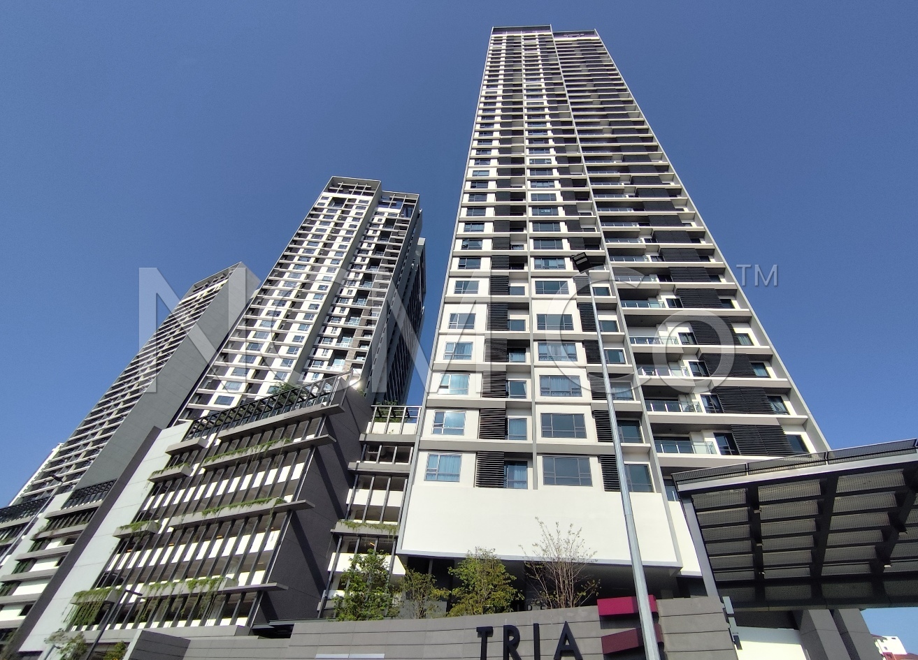 Condominium