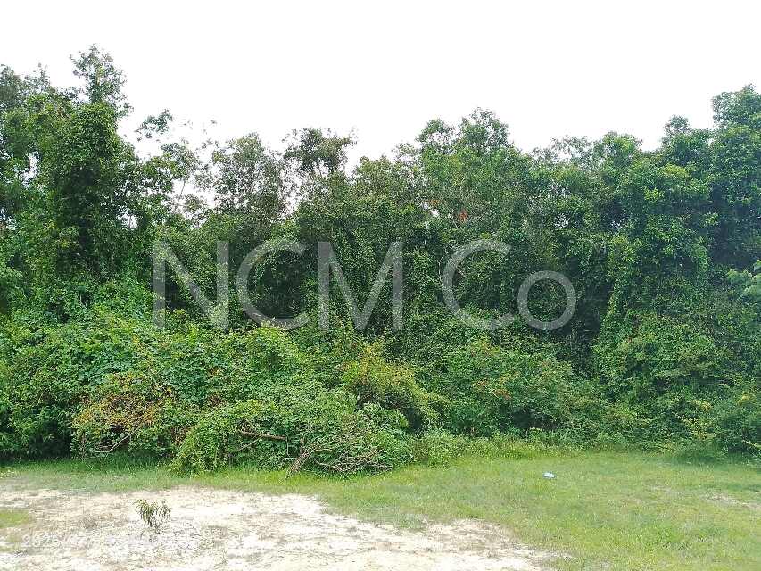 Agricultural Land
