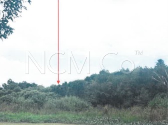 Agricultural Land