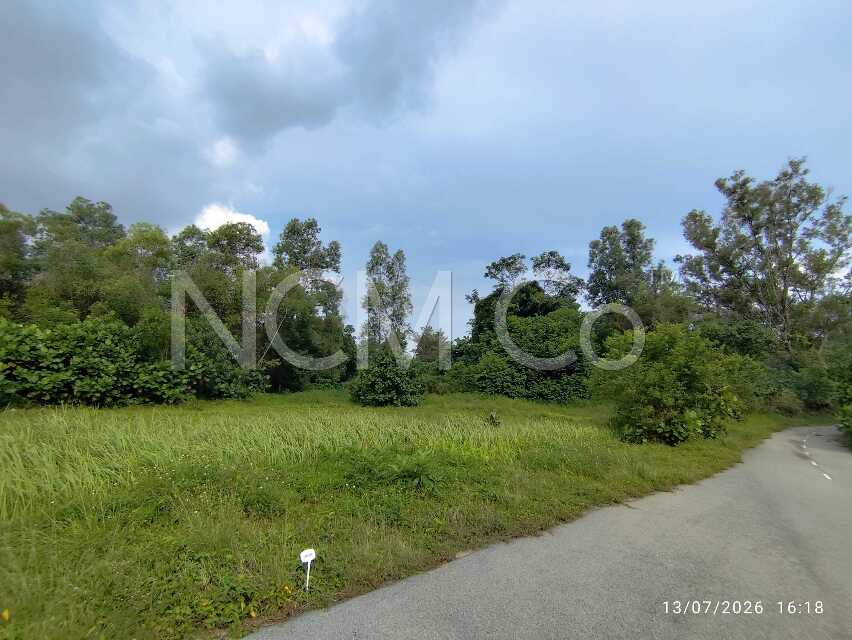 Vacant Plot of Detached Housing Lot, Intermediate
