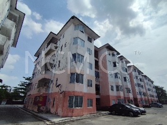 Apartment, Medium Cost