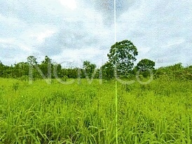 Agricultural Land