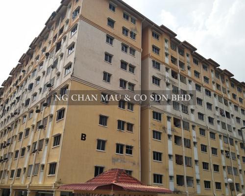 Apartment, Medium Cost