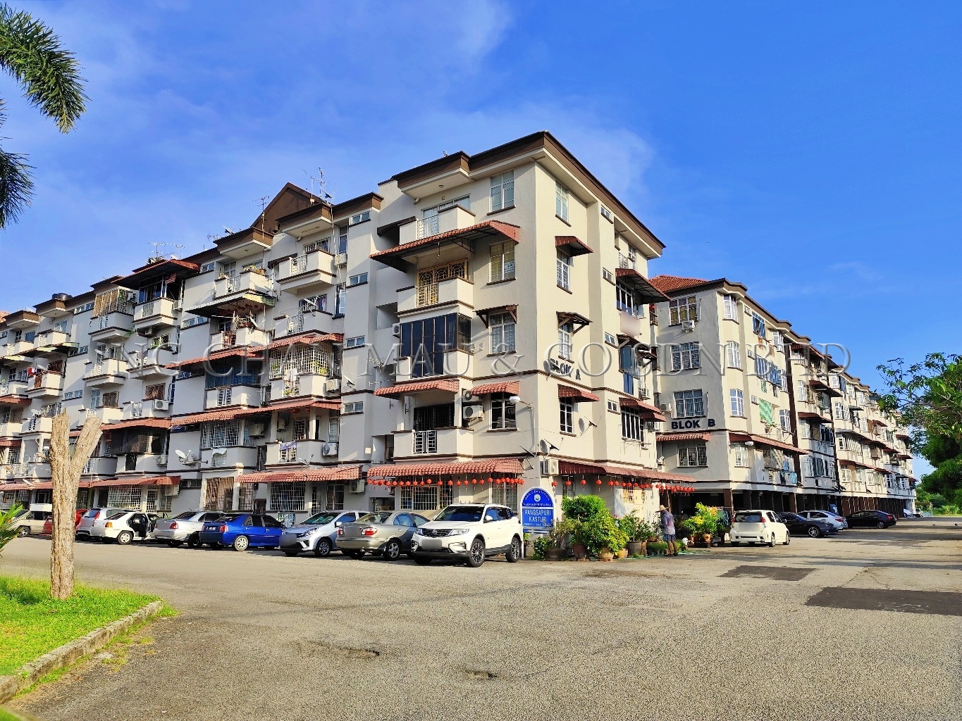 Apartment, Medium Cost