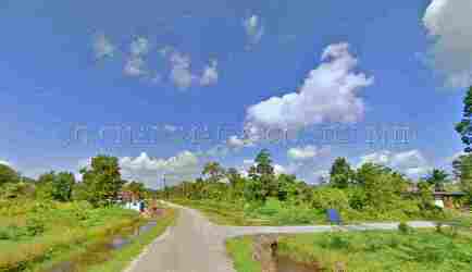 1 Storey Detached House
