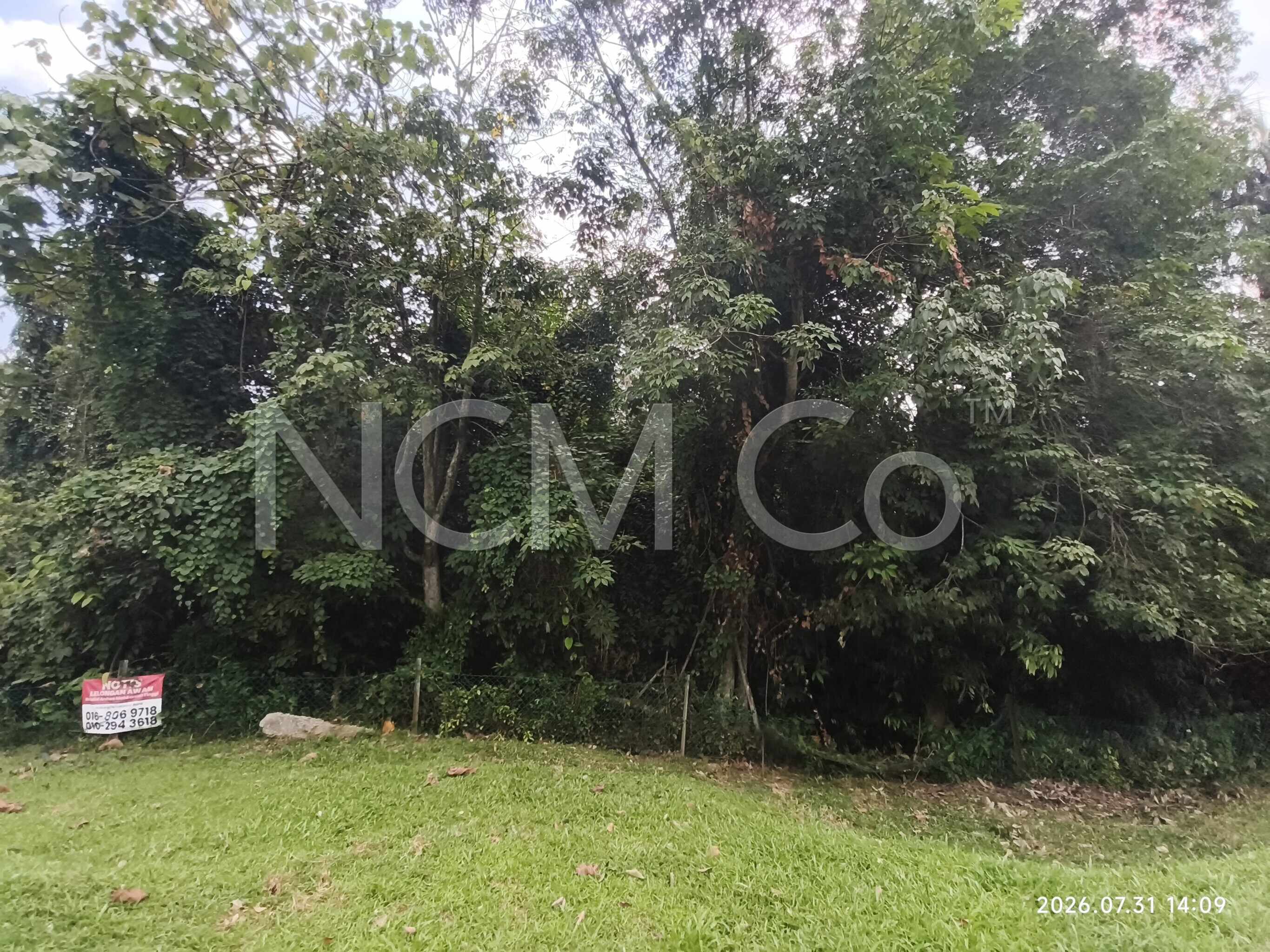 Commercial Land