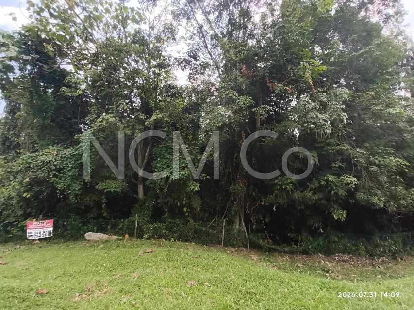 Commercial Land