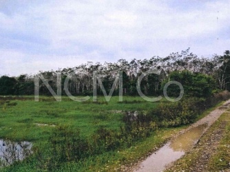 Agricultural Land