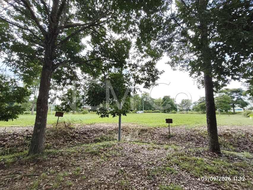 Vacant Bungalow Lot