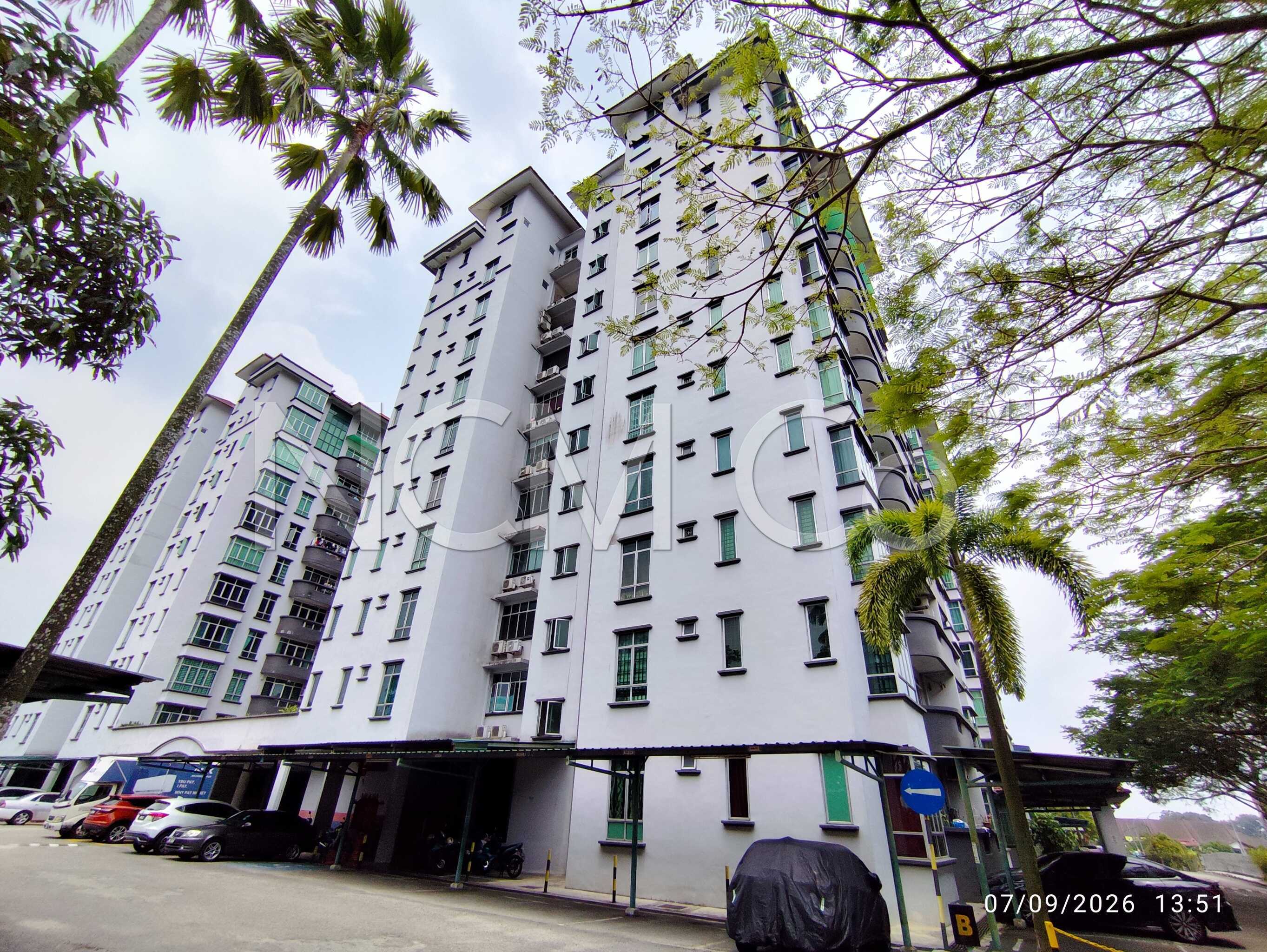 Apartment, Medium Cost