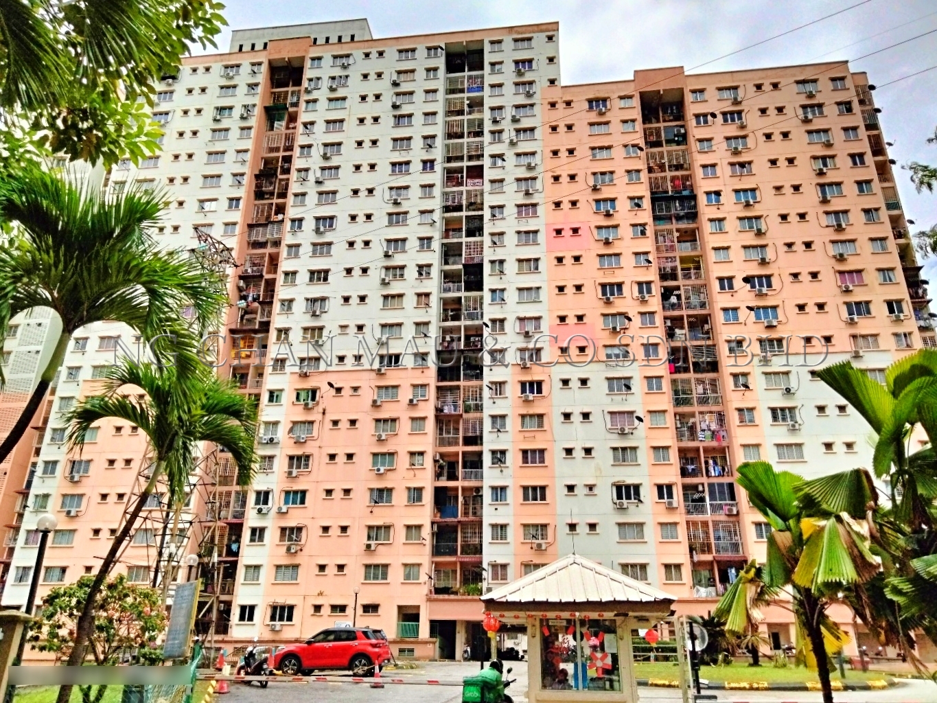 Apartment, Medium Cost