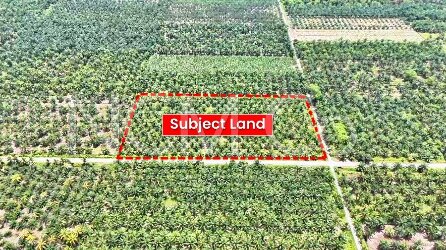 Agricultural Land
