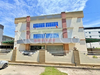 3 Storey Detached Factory