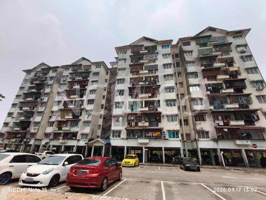 Apartment, Medium Cost