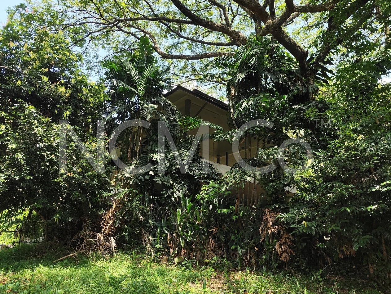 2 Storey Detached House