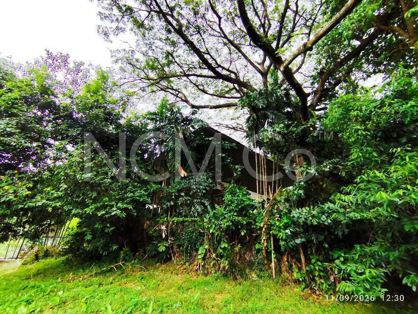 2 Storey Detached House