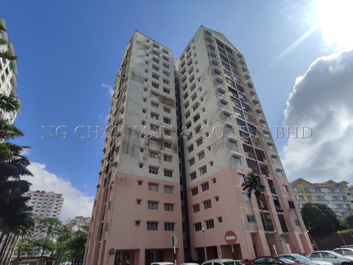 Apartment, Medium Cost