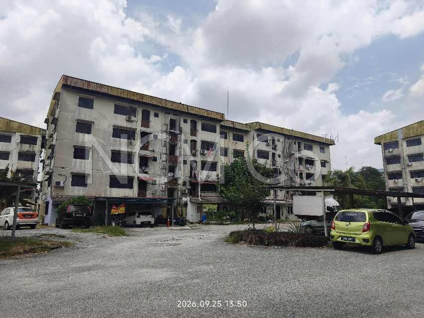 Apartment, Medium Cost