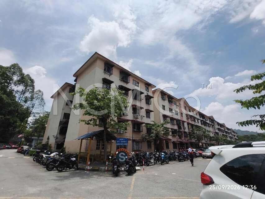 Apartment, Intermediate, Low Cost