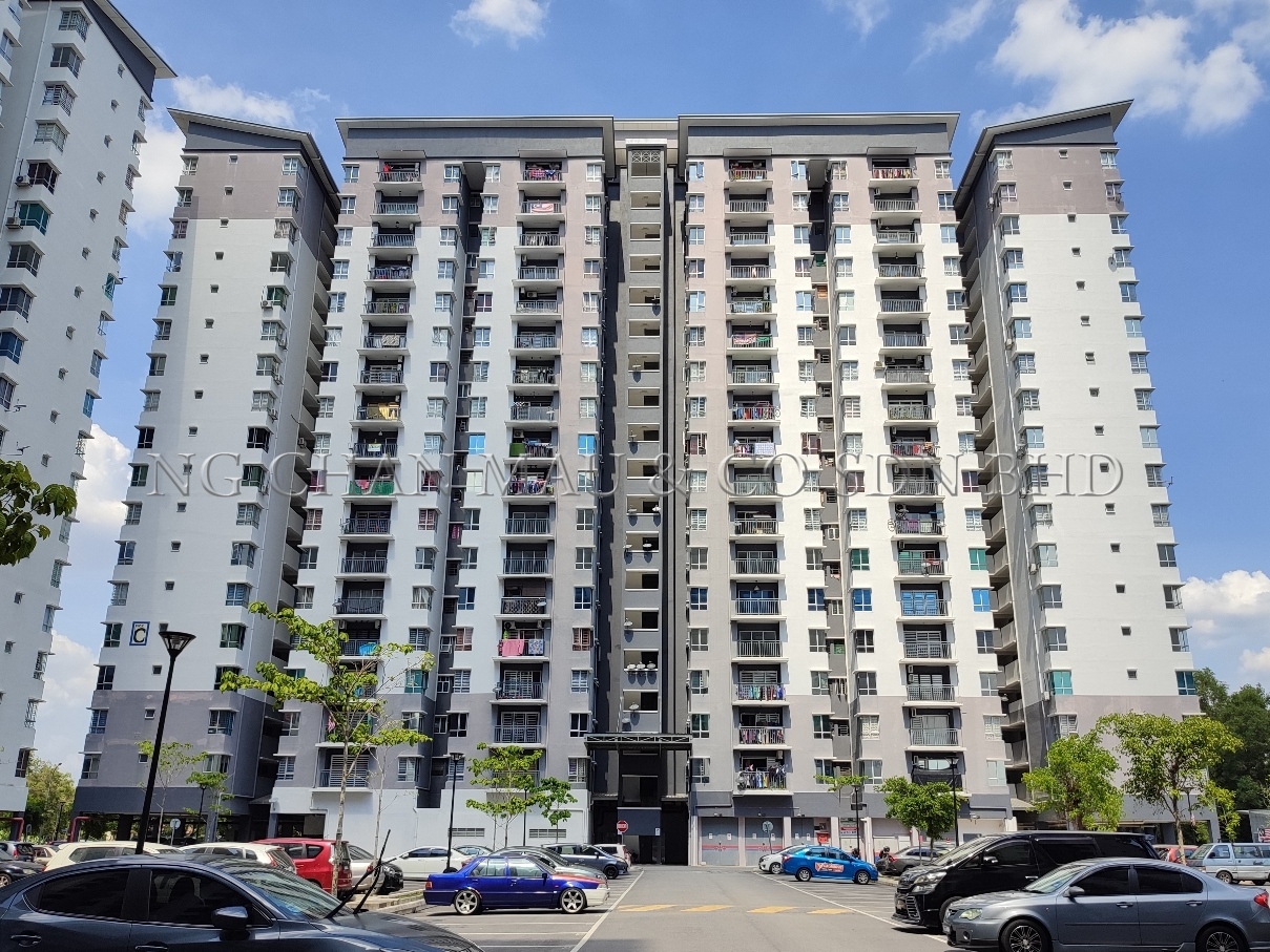 Apartment, Medium Cost