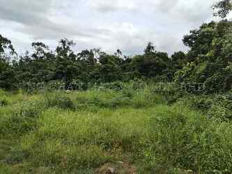 Vacant Land