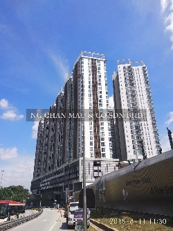 Service Apartment