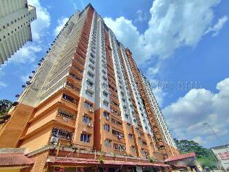 Apartment, Medium Cost