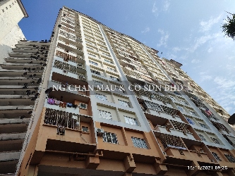 Apartment, Medium Cost