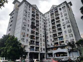 Apartment, Medium Cost