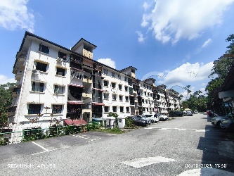Apartment, Intermediate