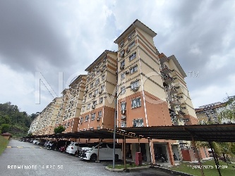Apartment, Medium Cost