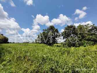 Agricultural Land