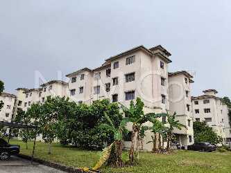 Apartment, Low-Medium Cost