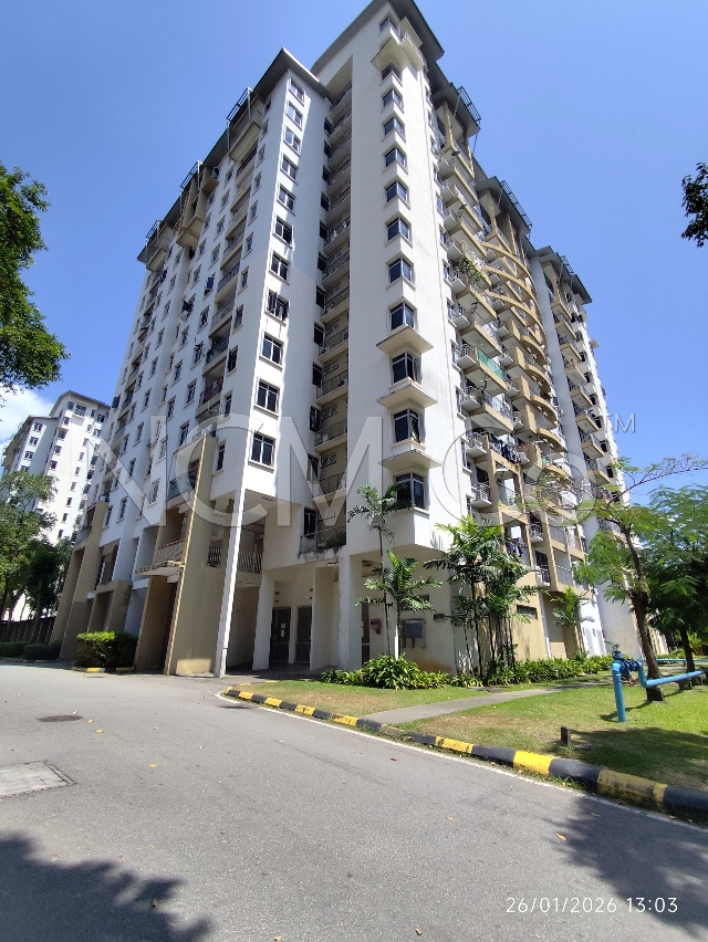 Condominium (Penthouse)