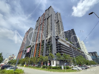 Service Apartment, Intermediate