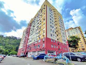 Apartment, Low-Medium Cost