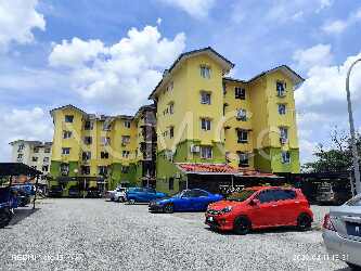 Apartment, Low-Medium Cost