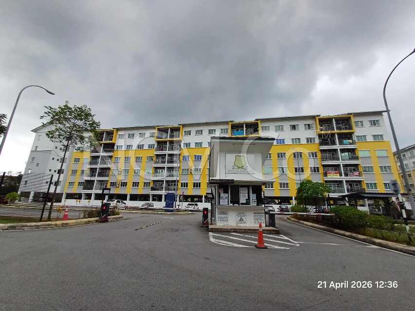 Apartment, Intermediate