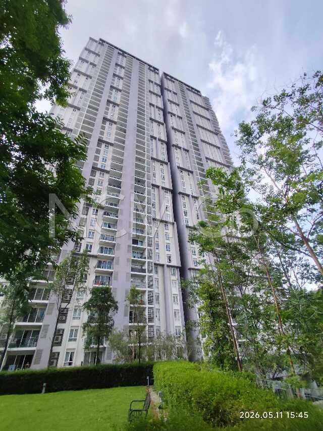 Condominium