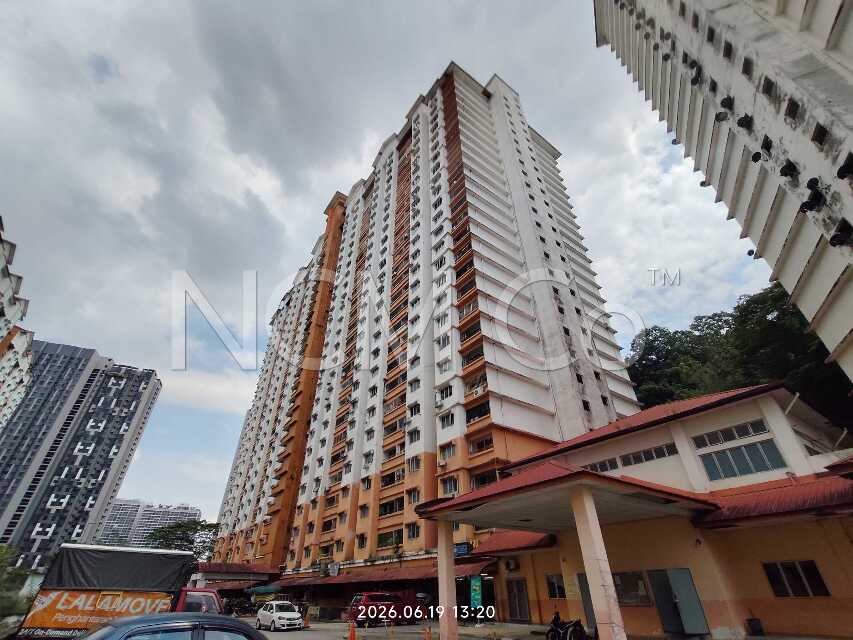 Apartment, Medium Cost