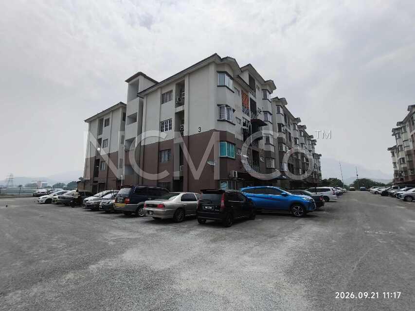 Apartment, Medium Cost