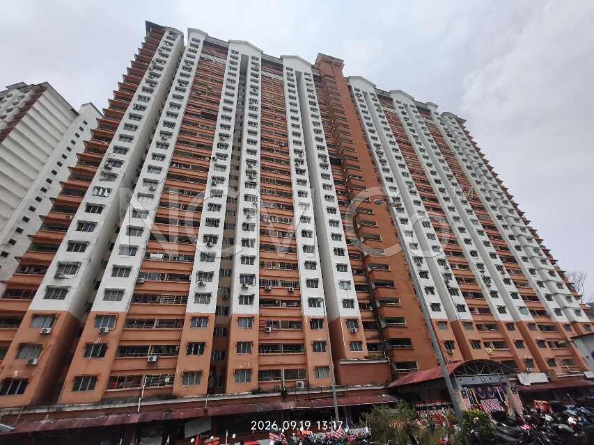 Apartment, Medium Cost
