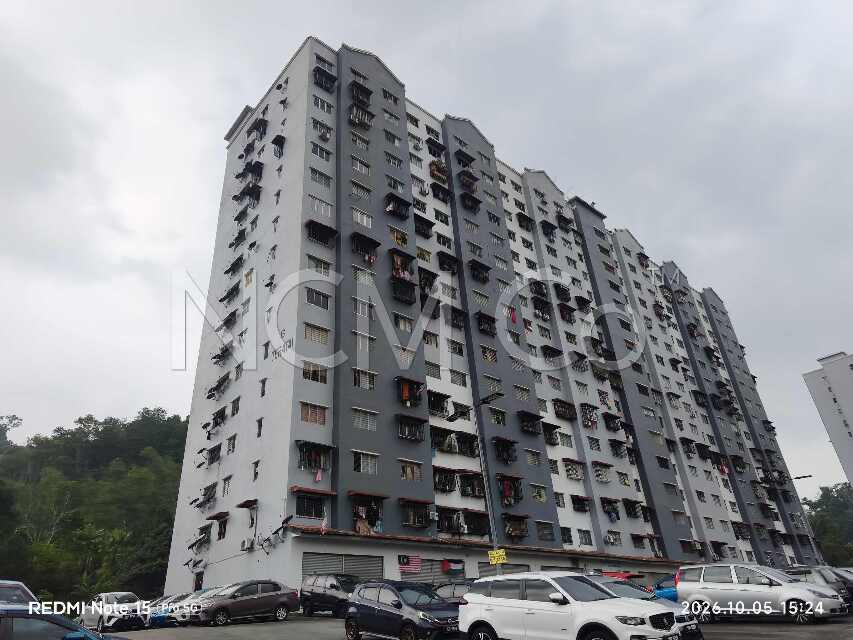 Flat, Corner Lot