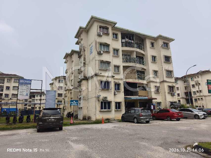 Apartment, Medium Cost